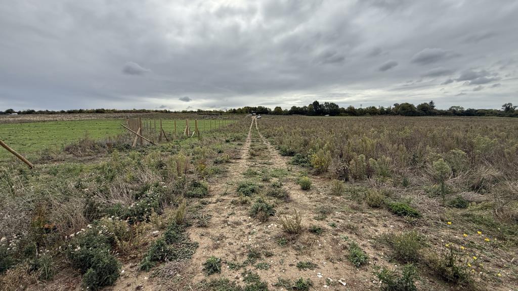 Lot: 30 - LAND EXTENDING TO 15 ACRES - Unmade access road